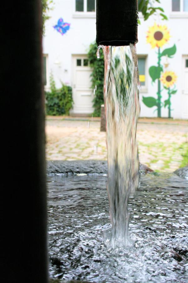 Zentrale Ferienwohnung Anker Im Sonnenblumenhaus Flensburg Kültér fotó